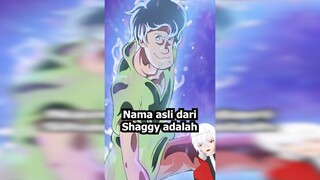 Nama Asli Dari Shaggy Scooby Doo