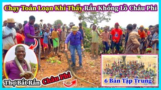 Hùng KaKa ll Xuất Hiện Rắn Khổng Lồ Dài Hơn 2m Làm Người Dân Chạy Toán Loạn Khi Đang Cuốc Đất