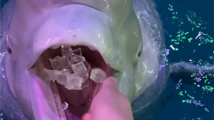 Sáng sớm mà nhâm nhi chút đá lạnh đi!