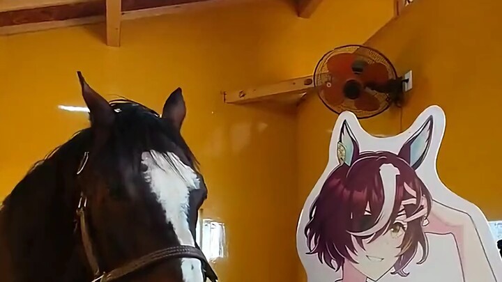 A horse curious about its own anime characters
