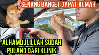 Alhamdulillah Anak Kucing Menangis Karena Ketabrak Alhamdulillah Sudah Pulang Dari Klinik..!