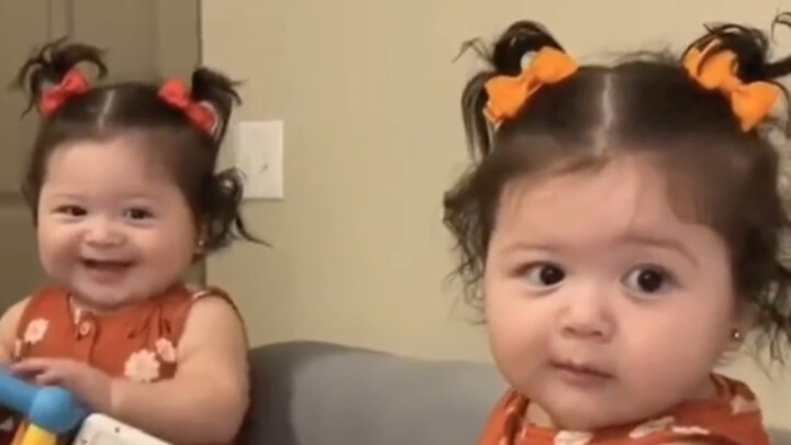 Bibi-bibi, sekarang sudah bisa membedakan dua bayi babi, kan!
