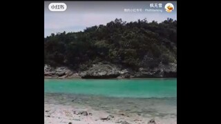 人生的經歷就像是鉛筆一樣，開始很尖，經歷的多了也就變得圓滑了，如果承受不了就會斷了。廣結眾緣，就是不要去傷害任何一個人。珍惜今天，珍惜現在，誰知道明天和意外，哪個會先來。唱歌可以跑調，但做人，不能頻