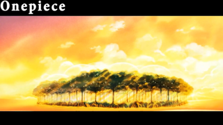 Chặng đường khó khăn mà lù trải qua cùng đồng đội #Onepiece