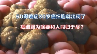 Các tế bào ung thư xuất hiện và mất kiểm soát như thế nào?