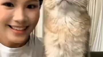 cat for you from your house