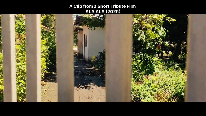Morning Shoots scene