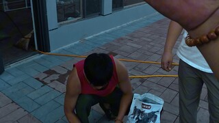 我看看马犬怎么个事