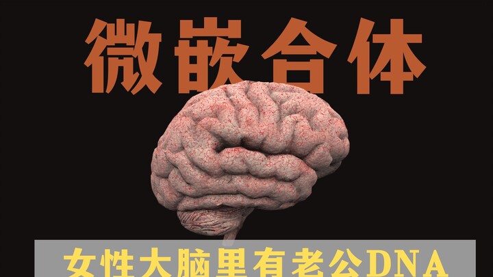Microchimerism: A mother’s brain contains cells and DNA from her child’s father.
