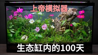 God Simulator: Changes in the Forest Ecological Tank during 100 Days of Operation