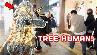 Out-of-season Christmas Tree Prank 2023 Super Reactions Japan