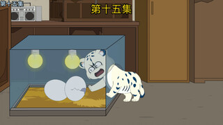调皮捣蛋的小雪豹
