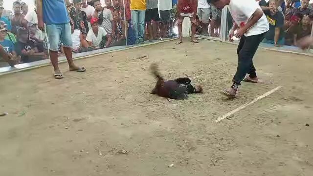 tabla Mg idol d kaagad n sentinsyhan