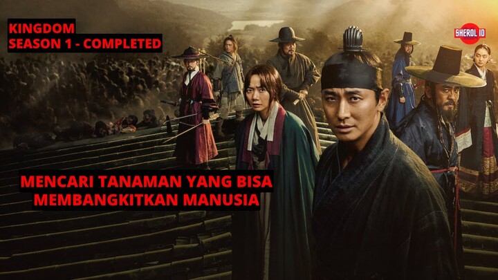 APA YANG SEBENARNYA TERJADI PADA RAJA? Seluruh Alur Cerita SERIES KINGDOM