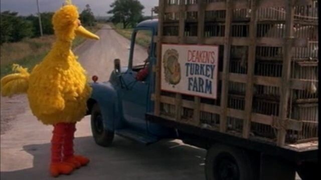 Sesame Street : Follow That Bird - บิ๊กเบิร์ดผจญภัย