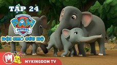 ĐỘI CHÓ CỨU HỘ PAW PATROL MINI | Tập 24: Giải Cứu Chú Voi Buồn Bã | Phim hoạt hình