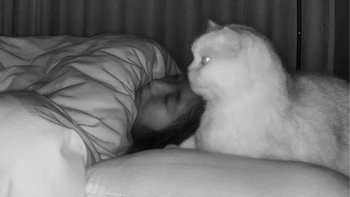 Beberapa suara tertanam dalam DNA para pemilik kucing...