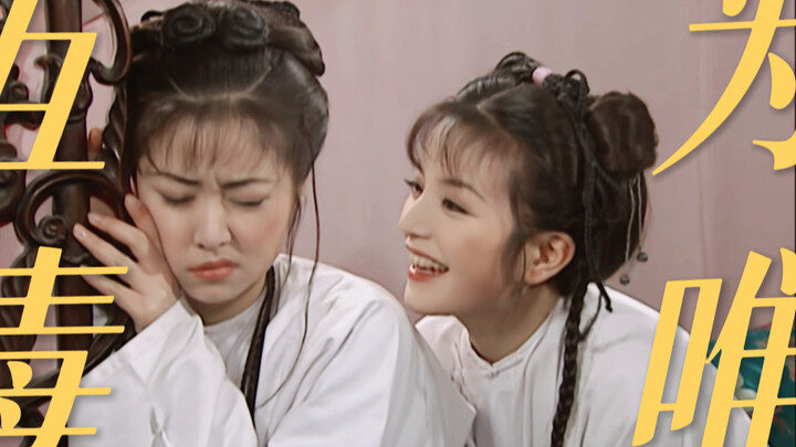 Tử Yến Bách Vị Cơ vì nhau bay khắp thế giới