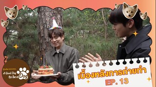 [ซับไทย] เบื้องหลังการถ่ายทำ EP.13 | A Good Day To Be A Dog | #ดูได้ที่Viu