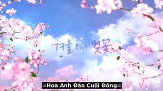 Hoa Anh Đào Cuối Đông EP 02 [Sub Việt]