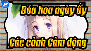 [Đóa hoa ngày ấy] Các cảnh Cảm động_2