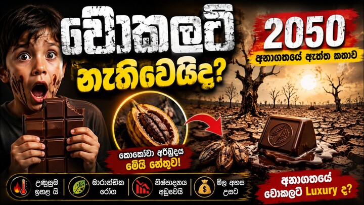 Will Chocolate Disappear by 2050? 🍫 | The Cocoa Crisis