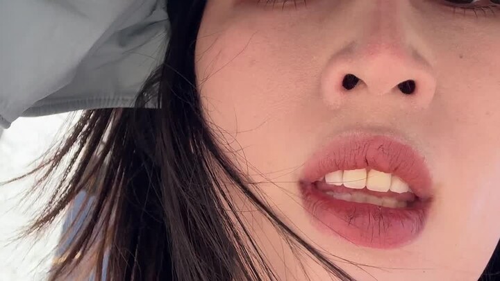 被埃及的车牌号搞崩溃了