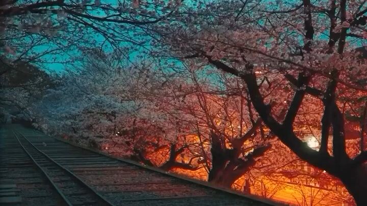 Kyoto japan
