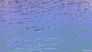 Shaolin Soccer (2001) (In Hindi)