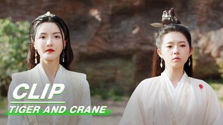 Yi Mei helped Bai Hu Regain his Human form | Tiger and Crane EP33 | 虎鹤妖师录 | iQIYI