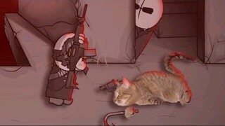 MADNESS CAT CAT!