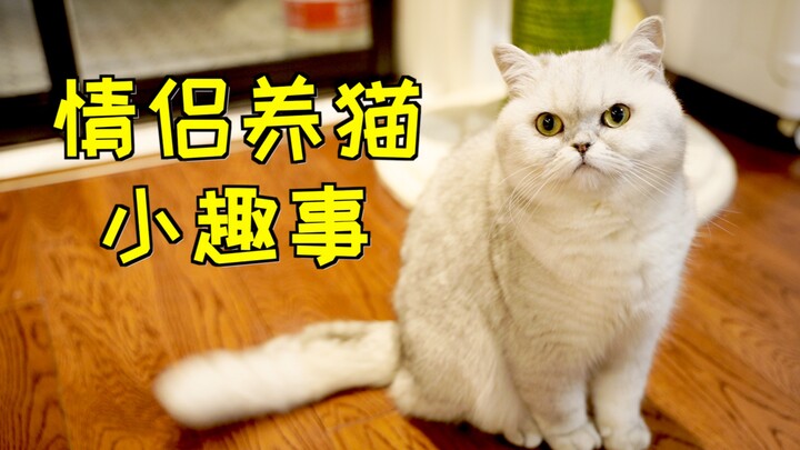 Here’s a little secret: fun stories about couples who keep cats—shh, don’t tell anyone!