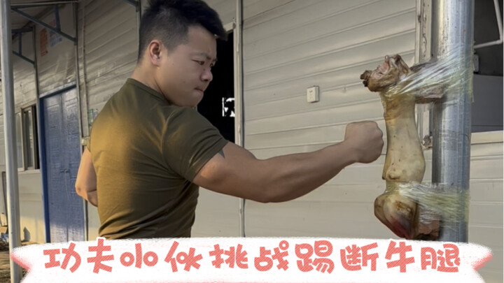 Thử thách thất bại vì chân bò quá cứng