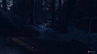 Runo Pt.4-Evil Tree