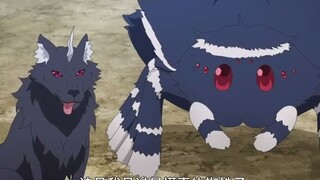 Give me a dozen of these sensible dogs and spiders!