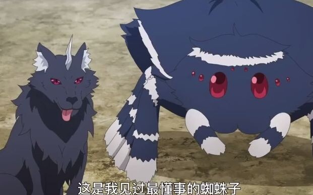 Anjing dan laba-laba yang bijaksana, beri aku selusin!