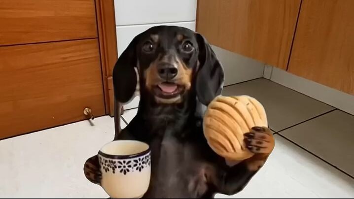 Quiero cafe con pan 🥖 #teamcafe #teampan 🤑