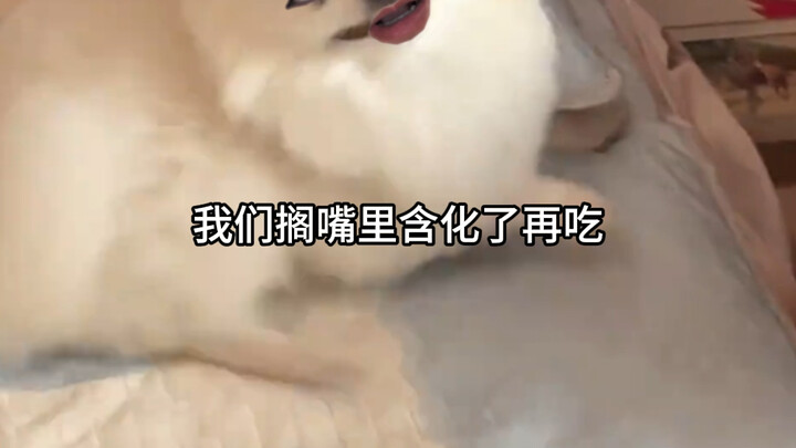 The Importance of the Maid Who Accompanies the Dowry