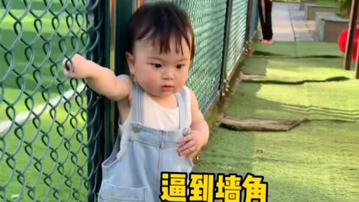 Ditabrak pantat seekor anak anjing yang menggoda.