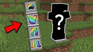 Minecraft's Secret Armor