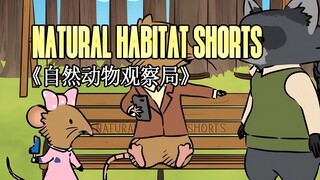 230323《自然动物观察局》- Natural Habitat Shorts