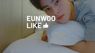 【تشه يينيو】 مدونة فيديو بسيطة وسهلة