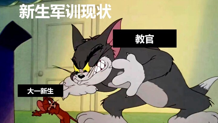 Current situation of military training for freshmen