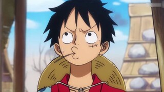 Lúc đầu tôi tưởng họ của Luffy là Lu, nhưng sau này tôi lại tưởng họ của Luffy là Wang. Hóa ra họ củ