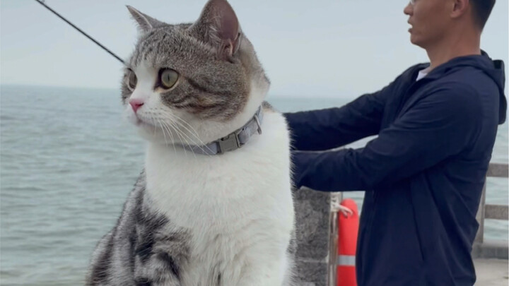 You have to go to the island to fish.