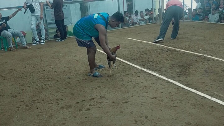 kaltis kaliwat kanan bulik nag babalik