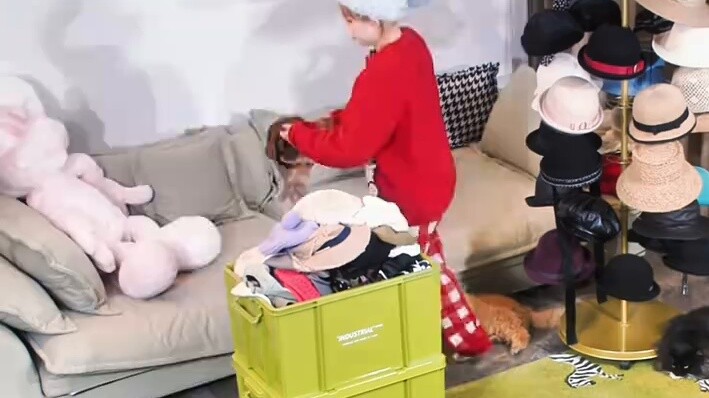 I took out all the hats in the house.