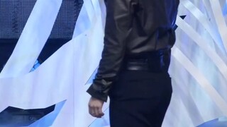 【SEVENTEEN DINO】我愿称之为次粉人生必看直拍^^