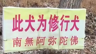 把你拴这你也成仙