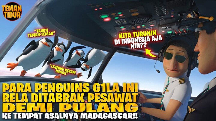 PARA PENGUINS MENUMPANG DI PESAWAT DEMI SAMPAI KAMPUNG HALAMAN (MADAGASCAR) !! -
